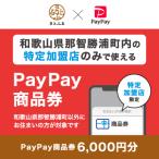 PayPay商品券 6 000円分