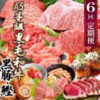 ふるさと納税 枕崎市 定期便(1年で6回)枕崎お楽しみ便(黒毛和牛・黒豚・かつおetc) GG-6002