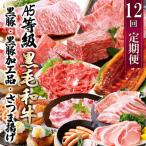 ふるさと納税 枕崎市 定期便(12回配送)枕崎お楽しみ便(A5等級黒毛和牛・黒豚・黒豚加工品・さつまあげ等)JJ-6003