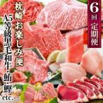 ふるさと納税 枕崎市 定期便(6回)枕崎お楽しみ便(A5等級黒毛和牛・まぐろ・かつおetc)GG-0046