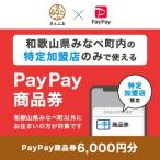 PayPay商品券 6 000円分