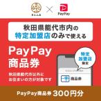 ふるさと納税 能代市 秋田県能代市　PayPay商品券(300円分)※地域内の一部の加盟店のみで利用可