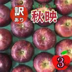 ふるさと納税 飯山市 訳あり 秋映 (あきばえ)約3kg