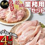 ふるさと納税 都城市 【業務用】宮崎県産若鶏セット(4kg)