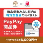 PayPay商品券 6 000円分