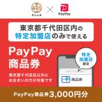 ふるさと納税 千代田区 東京都千代田区 PayPay商品券(3,000円分)※地域内の一部の加盟店のみで利用可