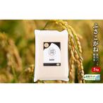 ふるさと納税 千葉市 ふさこがね　真空パック　5キロ　無洗米[53680584]
