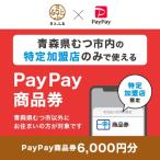 PayPay商品券 6 000円分