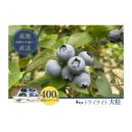 fu.... налог Narita город [ предшествующий предварительный заказ ] свежий голубика ( twilight крупный 100g×4)[54020532]