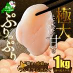 ふるさと納税 別海町 【希少プレミアム】わずか3% 贅沢 極大ほたて貝柱1kg 北海道野付産ならでは　ホタテといえば別海町