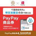 PayPay商品券 4 500円分