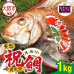 天然祝鯛 炭火焼1kg_OS389-0002-01