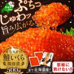 ショッピングいくら ふるさと納税 別海町 【禁輸に負けない!】北海道産 鮭 いくら 醤油漬け 500g 小分け 2パック『いくらも別海町』