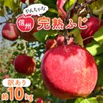 ふるさと納税 中野市 〈信州中野まつじるし農園〉やんちゃな訳あり完熟ふじ 約10kg