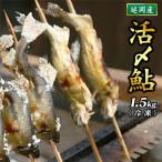 ふるさと納税 延岡市 延岡産活〆冷凍あゆ 1.5kg