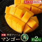 ふるさと納税 八重瀬町 【マンゴー農園直送!】2025年夏!マンゴー秀品 約2kg(3〜6玉)