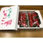 ふるさと納税 土庄町 小豆島のいちご(女峰) DXパック (250g×2パック入り)