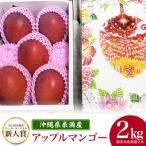 ふるさと納税 糸満市 【2026年発送】沖縄県糸満産 ゆいぐくるマンゴーの「濃厚アップルマンゴー」2kg　(化粧箱入)