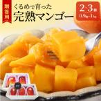 ふるさと納税 久留米市 【2026年6月下旬から順次発送開始】くるめで育った完熟マンゴー　約0.9〜1kg(2〜3玉)