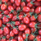 fu.... налог шар название город Kumamoto префектура производство Aiko помидор 3.5kg