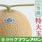 ショッピングふるさと納税 メロン ふるさと納税 袋井市 【通年出荷】クラウンメロン特大玉『山等級』1玉入