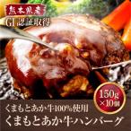 ふるさと納税 南阿蘇村 熊本県産 GI認証取得 くまもとあか牛ハンバーグ 150g×10(南阿蘇村)