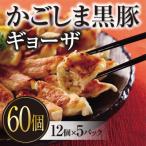 ふるさと納税 湧水町 原材料にこだわった黒豚ギョーザ 60個(冷凍餃子)