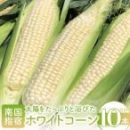 ショッピングとうもろこし ふるさと納税 指宿市 【厳選とうもろこし】指宿産ホワイトコーン10本(わくわくファームたがわ/A-226)