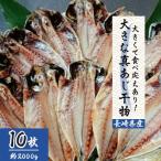ふるさと納税 松浦市 大きな真あじ干物 10枚(約2000g)