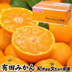 ふるさと納税 日高町 ブランド有田みかん【S】秀品10kg/薄皮で甘い美味しいみかん/産地直送