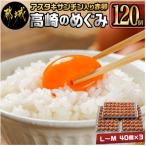 fu.... налог столица замок город астаксантин ввод яйцо [ Takasaki. ...]120 шт 