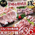 ふるさと納税 都城市 【宮崎県 都城市産】「どんぐりの恵み豚」キャンプ飯3.6kgセット