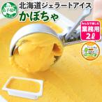 ふるさと納税 弟子屈町 【北海道】業務用 アイスクリーム かぼちゃ 2L 手作り ジェラート 611