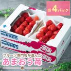 ふるさと納税 大牟田市 【2026年発送先行受付】酸味と甘みの絶妙なバランス・春あまおう4パック(大牟田市)