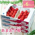 ふるさと納税 大牟田市 【2026年発送先行受付】酸味と甘みの絶妙なバランス・春あまおう6パック(大牟田市)