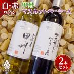 ふるさと納税 山梨市 ワイン 山梨産 甲州 マスカットベーリーA 赤白 ワイン 2本 セット