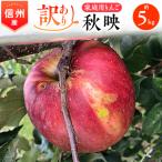 ふるさと納税 南箕輪村 2025年!信州のりんご【秋映】訳あり 約5kg 家庭用