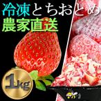 ふるさと納税 横芝光町 産地直送だから苺本来の美味しさ!BELL FARMの冷凍 いちご1kg 収穫当日冷凍の苺1kg