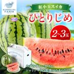 ふるさと納税 御坊市 自農園産　紅小玉スイカ『ひとりじめ』2〜3玉