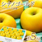 ふるさと納税 箕輪町 2025年!信州のりんご【シナノゴールド】 約5kg