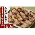 ふるさと納税 花巻市 手造り生餃子3種食べ比べセット (肉・しそ巻き・スタミナにら) 各10個×2パック 合計6パック