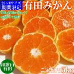 ふるさと納税 湯浅町 先行受付【ご家庭用】有田みかん5kg(SS、S、Mサイズいずれか)【湯浅町】
