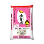 ふるさと納税 安来市 BG無洗米 金芽米きぬむすめ 5kg