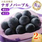 ふるさと納税 中野市 厳選!濃厚大房ナガノパープル 秀品 2房(約1.2kg)