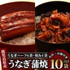 ふるさと納税 指宿市 鹿児島県産うなぎハーフ6袋ときざみ4袋のセット(027-1289)