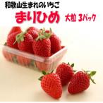 イチゴ 大粒3パック 和歌山生まれブランドいちご