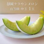ふるさと納税 袋井市 静岡クラウンメロン【上(山等級)】中玉(約1.3kg)1玉入り