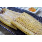 ふるさと納税 行方市 国内産うなぎ白焼(酒蒸)100〜120g 5尾 合計500グラム以上 訳あり(サイズ不揃い)