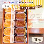 ふるさと納税 行方市 とろ〜りとろける半生チーズケーキと半生チョコケーキのセット 10個