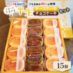 ショッピングチョコ ふるさと納税 行方市 とろ〜りとろける半生チーズケーキと半生チョコケーキのセット　15個